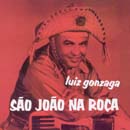 SÃO JOÃO NA ROÇA