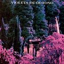 VIOLETA DE OUTONO